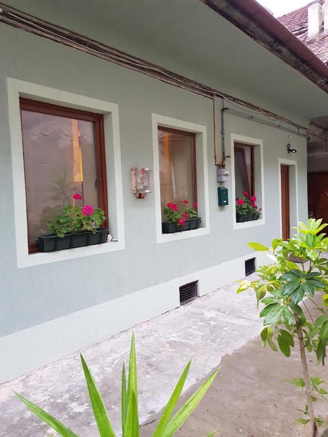 Weiss House Daire Braşov Dış mekan fotoğraf